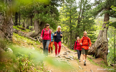 Schwarzwald gemeinsam erwandern