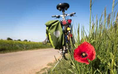 Radurlaub Tauernradweg 