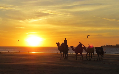 Windsurfreisen Essaouira